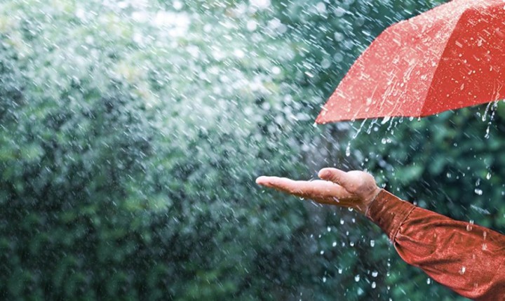 rain_PiLaQvymrm-1785720071.jpg